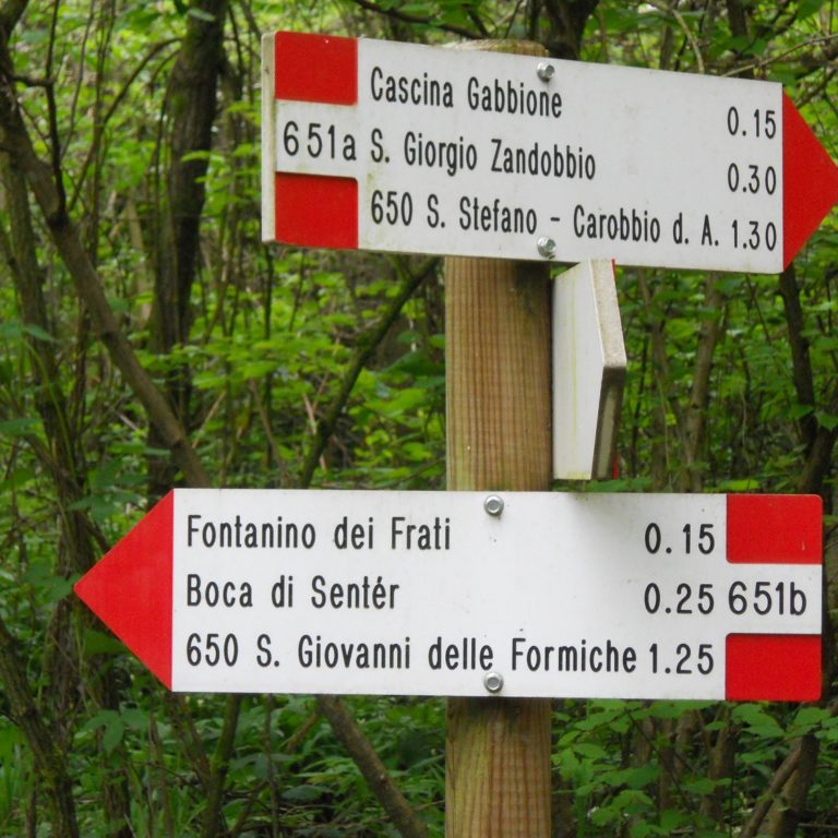 Trekking – Da Gorlago a San Giovanni delle Formiche