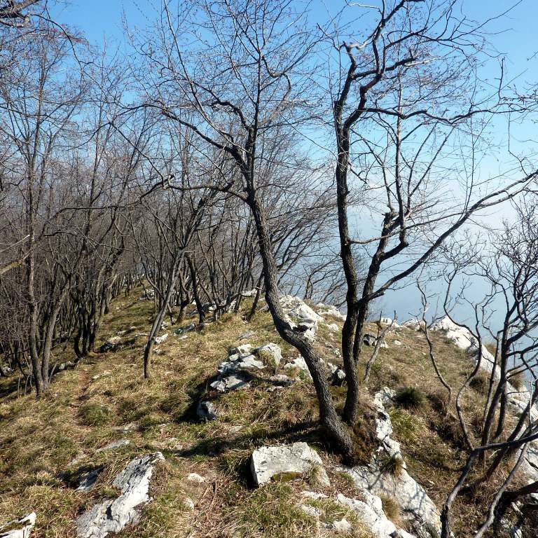 Trekking – Da Redona al monte Pranzà