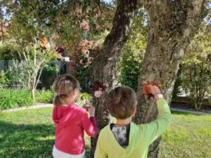 laboratori-creativi-per-bambini-fai-da-te-piante-alberi-e1621720591911