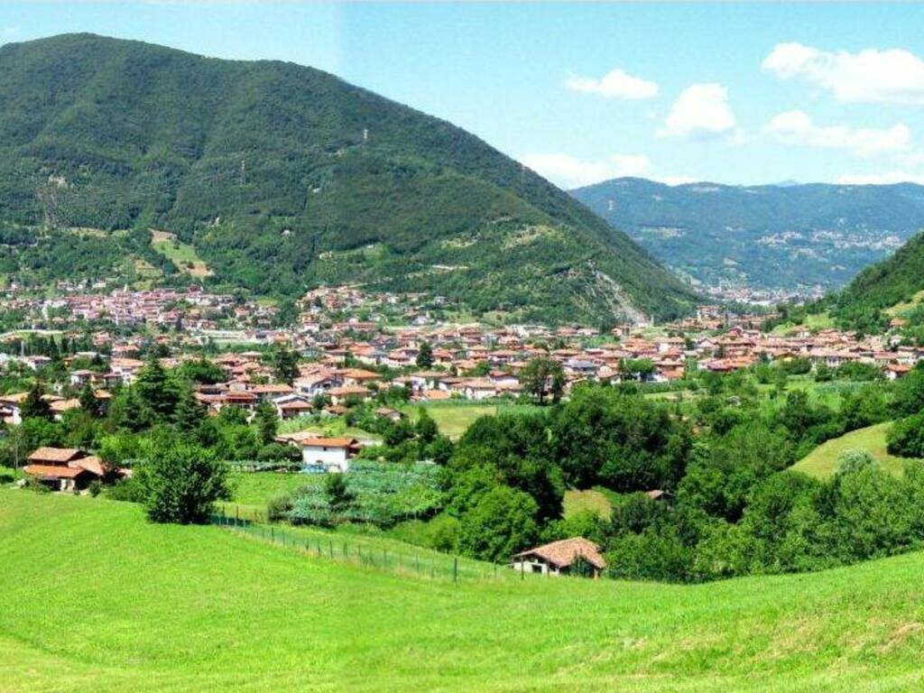Immagine P