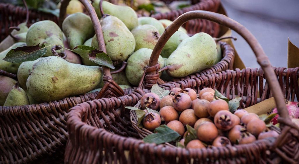 fruttirisc