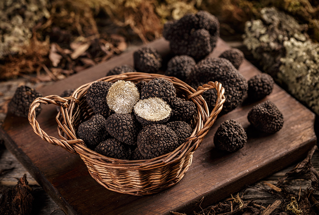 Tartufo-pr