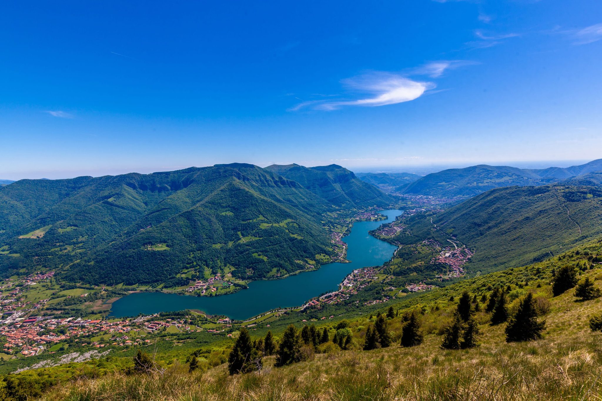 primavera