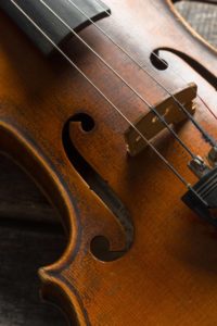 Violin on 