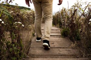 hiker-wood
