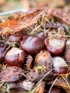 castagne