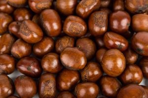 Chestnut b