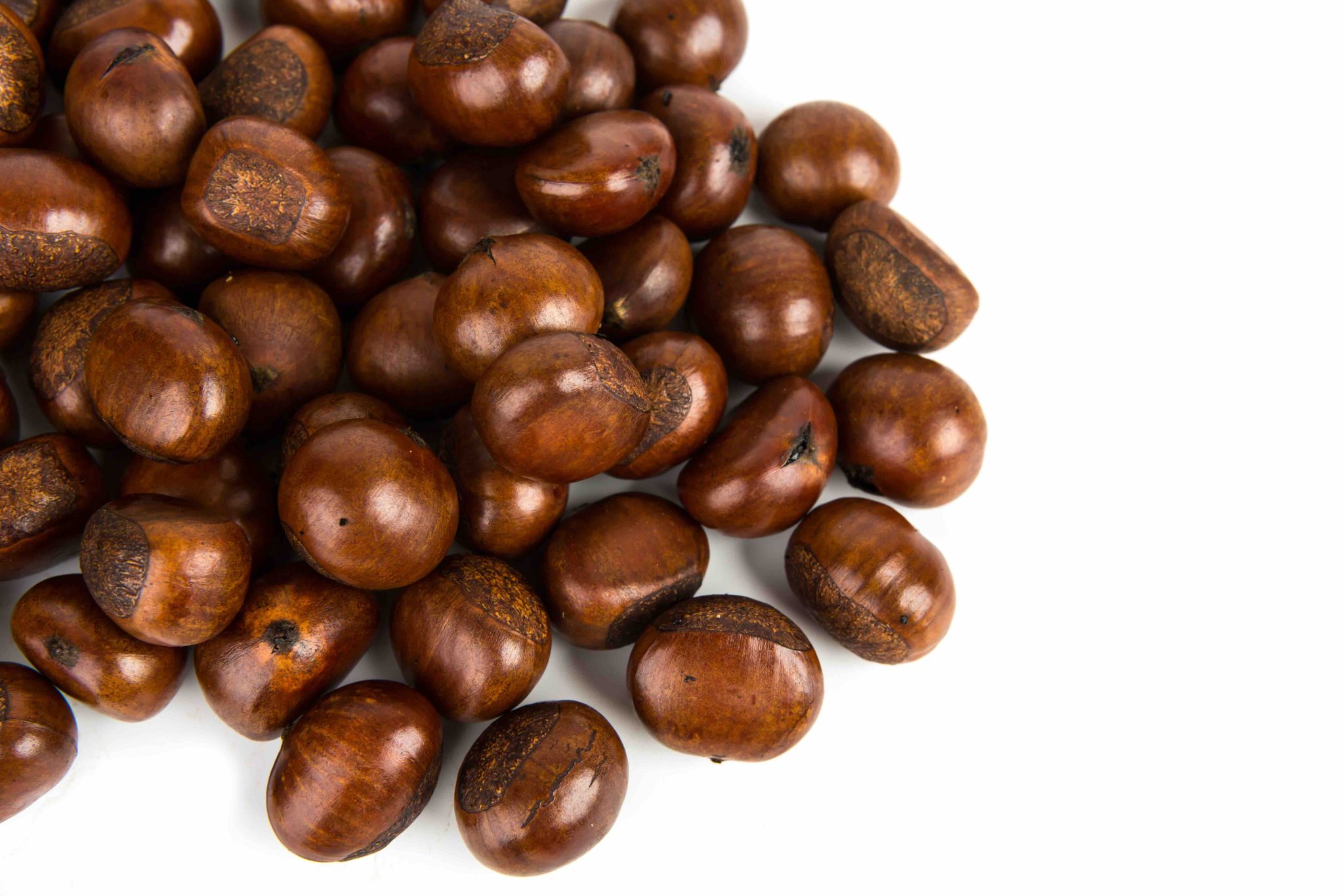 Chestnut o