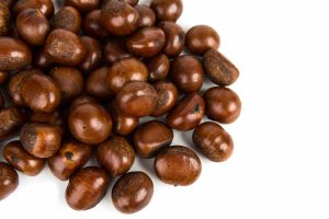 Chestnut o